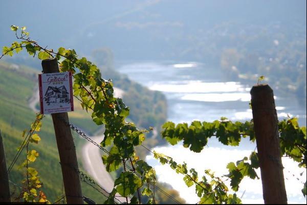 Wein- Und Gaestehaus Genetsch Lieser Exterior foto